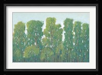 Forest Green I Framed Print