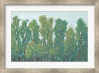 Forest Green II Fine Art Print
