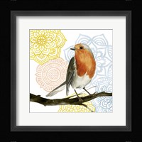 Mandala Bird IV Framed Print