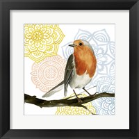 Mandala Bird IV Framed Print