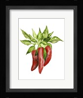 Watercolor Veggie II Framed Print