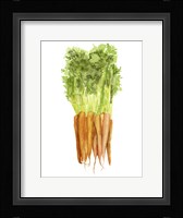 Watercolor Veggie III Fine Art Print