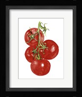 Watercolor Veggie IV Framed Print