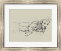 Dog Days III Fine Art Print