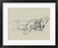 Dog Days III Framed Print