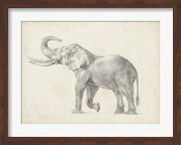 Elephant Sketch I Fine Art Print