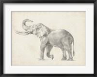 Elephant Sketch I Fine Art Print
