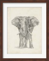 Elephant Sketch II Fine Art Print