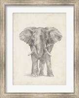 Elephant Sketch II Fine Art Print