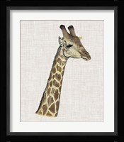 Savanna Impressions II Framed Print