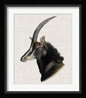 Savanna Impressions III Framed Print