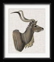 Savanna Impressions IV Framed Print