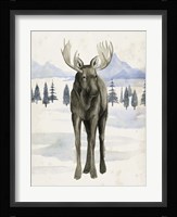 Alaskan Wilderness I Framed Print