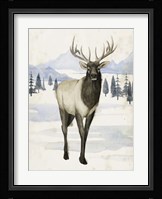 Alaskan Wilderness II Framed Print