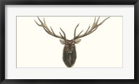 Elk Bust Fine Art Print