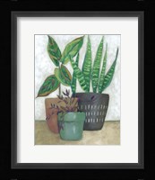 House Garden I Framed Print