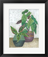 House Garden II Framed Print