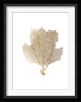 Gold Foil Sea Fan II Fine Art Print