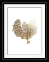 Gold Foil Sea Fan III Fine Art Print