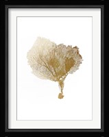 Gold Foil Sea Fan IV Fine Art Print