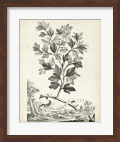 Scenic Botanical V Fine Art Print