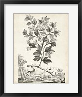 Scenic Botanical V Fine Art Print
