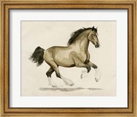 Clydesdale I Fine Art Print