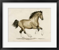 Clydesdale I Fine Art Print