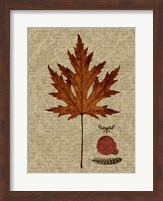 Autumn Leaf I Fine Art Print