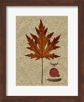 Autumn Leaf I Fine Art Print