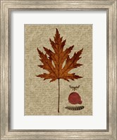 Autumn Leaf I Fine Art Print