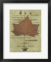 Autumn Leaf II Framed Print