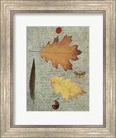 Autumn Leaf III Fine Art Print