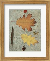 Autumn Leaf III Fine Art Print
