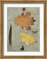 Autumn Leaf III Fine Art Print