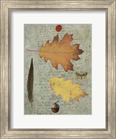 Autumn Leaf III Fine Art Print