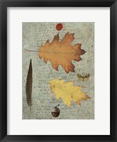Autumn Leaf III Framed Print
