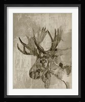 Sepia Moose Framed Print