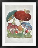 Mushroom Collection I Fine Art Print