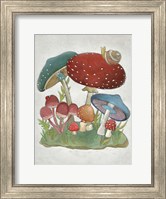 Mushroom Collection I Fine Art Print