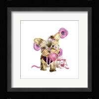 Valentine Puppy VI Framed Print