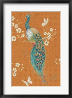 Ornate Peacock X Spice Framed Print