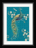 Ornate Peacock IXE Framed Print