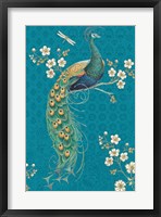 Ornate Peacock IXE Framed Print