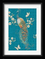 Ornate Peacock XE Framed Print