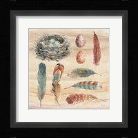 Spiced Nature X Framed Print
