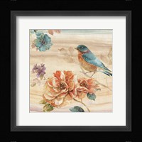 Spiced Nature III Framed Print