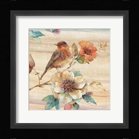 Spiced Nature II Framed Print
