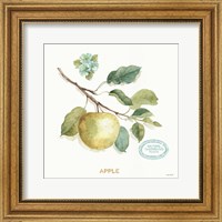 My Greenhouse Fruit IV Fine Art Print