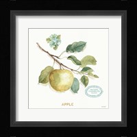 My Greenhouse Fruit IV Framed Print